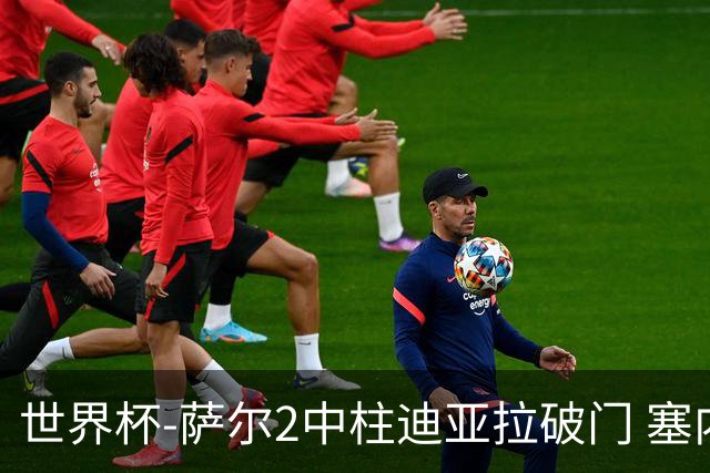 世界杯-萨尔2中柱迪亚拉破门 塞内加尔半场暂1-0比利时
