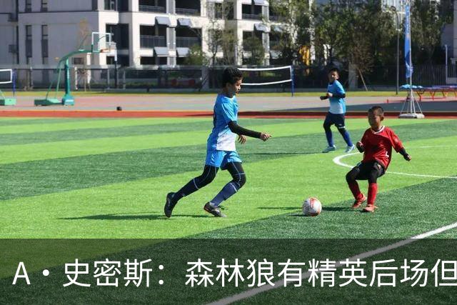 A·史密斯：森林狼有精英后场但体型变小 难应对雷霆马刺火箭掘金